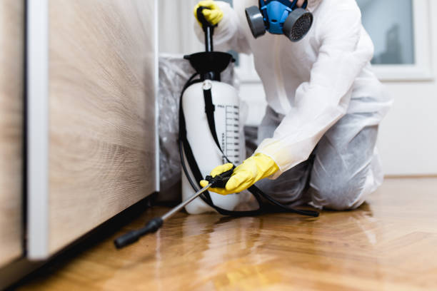 Best Bed Bug Extermination  in Wailuku, HI
