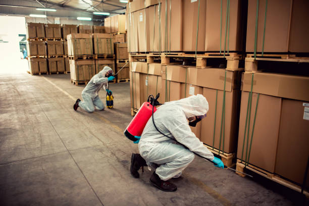 Pest Control Cost in Wailuku, HI