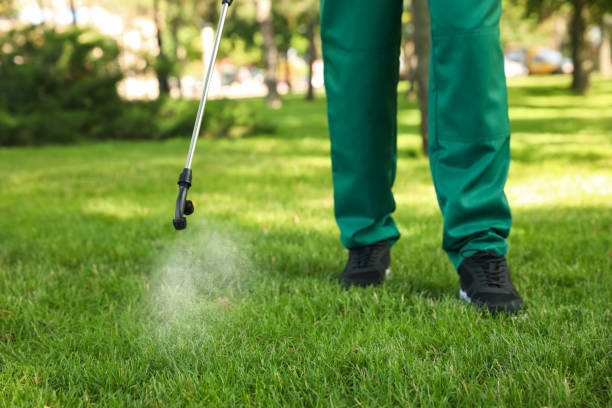 Best Exterminator Services  in Wailuku, HI