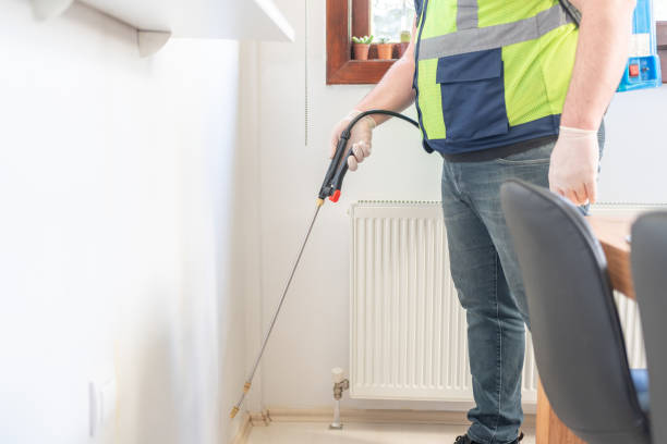 Best Local Pest Control Services  in Wailuku, HI