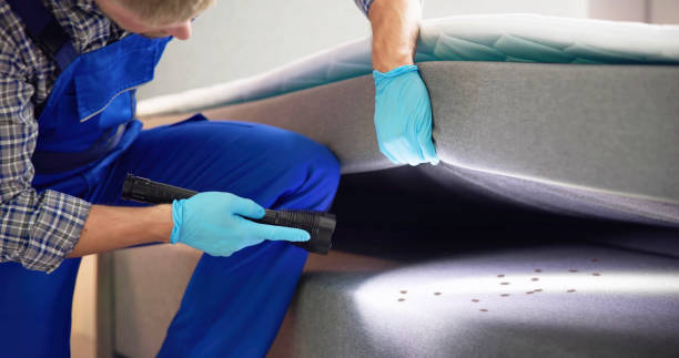 Best Pest Prevention Services  in Wailuku, HI