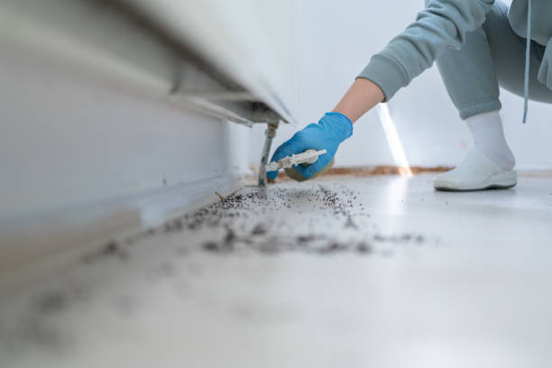 Pest Control for Restaurants in Wailuku, HI